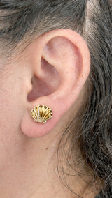 ARETES "MEDUSA"